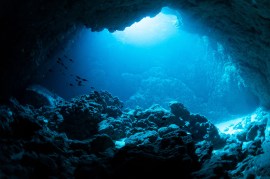 Dive into Adventure: Uncovering the Best Underwater Attractions Worldwide